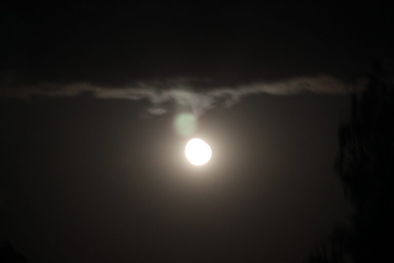 Fotoserie "Dunkel-Licht" 2014