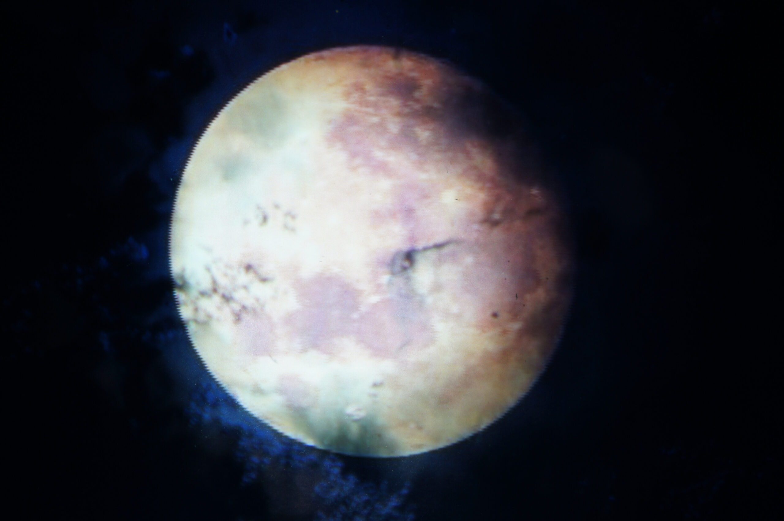 Fotoserie "Planetentango" 2017
