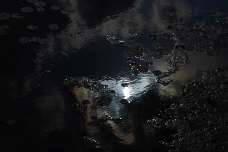 Fotoserie "Dunkel-Licht" 2014