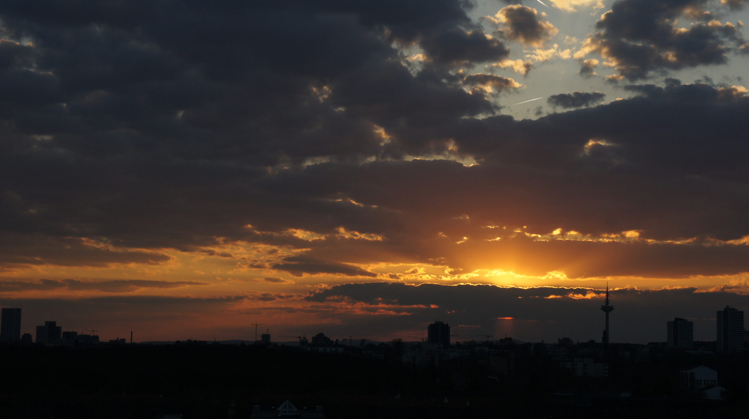 SONY DSC